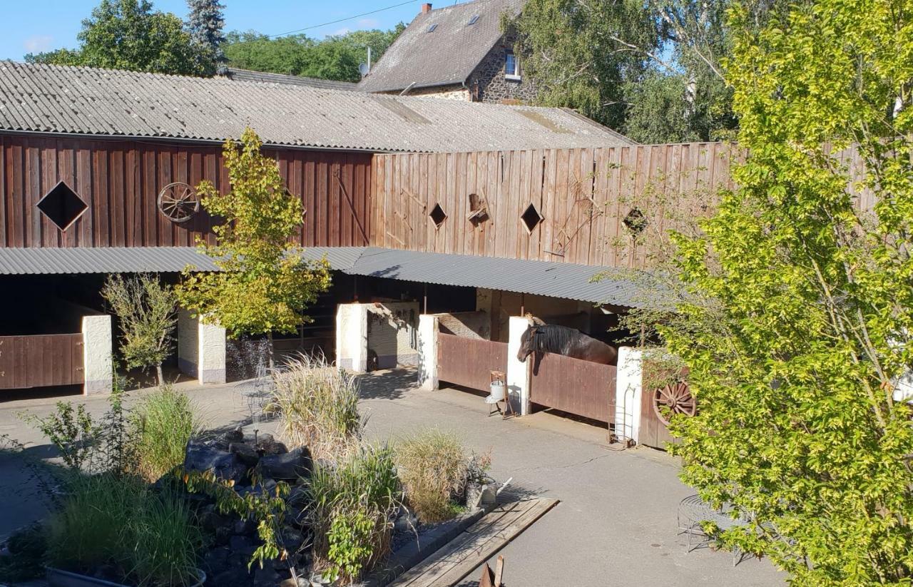 Traumwohnung Jolly Jumper Auf Idyllischem Reiterhof Naehe Burg Eltz Münstermaifeld المظهر الخارجي الصورة